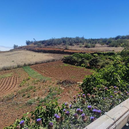 Finca El Cercadillo Gáldar Dış mekan fotoğraf
