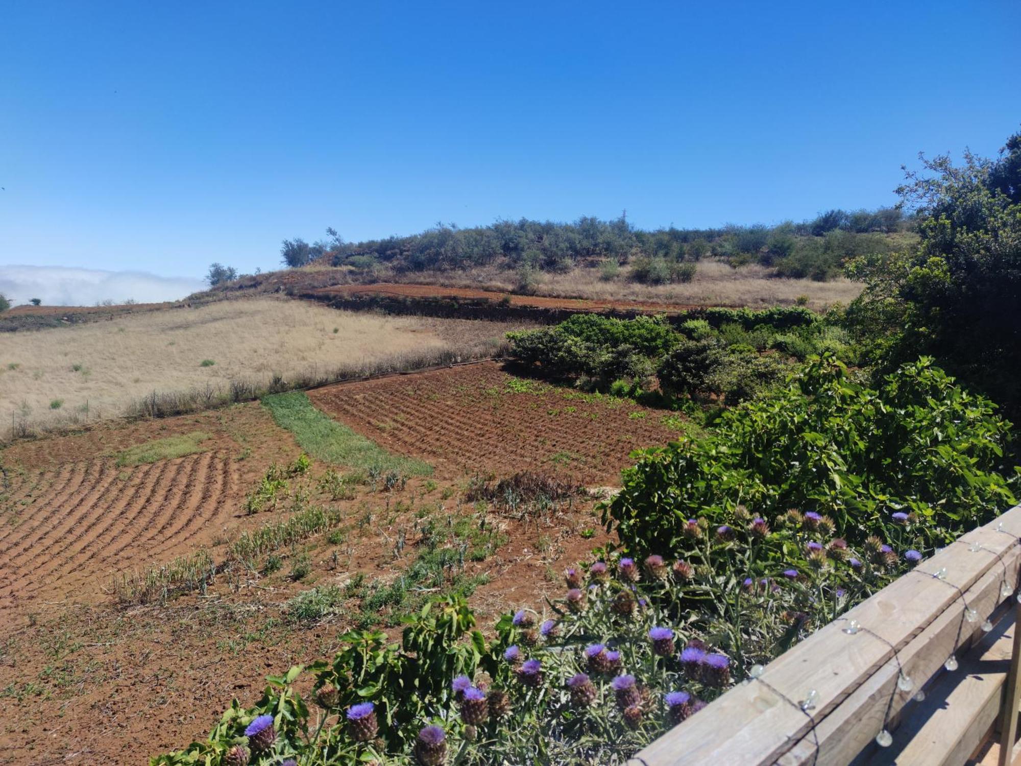 Finca El Cercadillo Gáldar Dış mekan fotoğraf